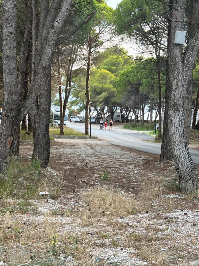 Rooms For Rent Habipi Vlore Exterior photo